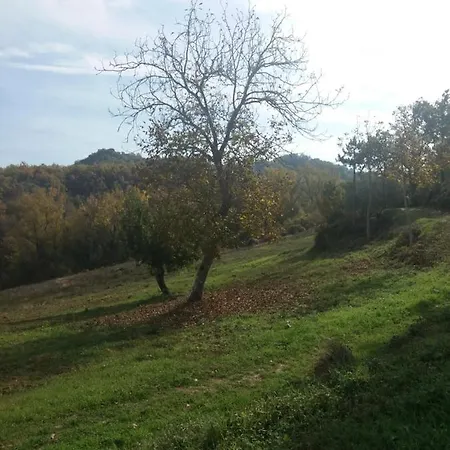 Le Tre Rose Brunetta