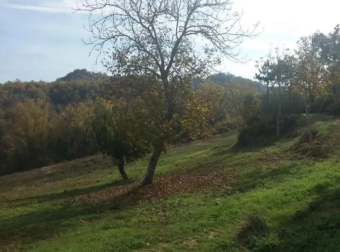 Le Tre Rose Brunetta